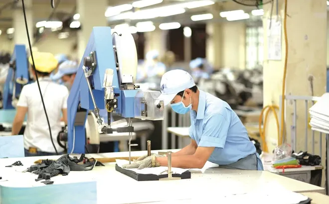 Việt Nam trong nhóm nước được ưu tiên đàm phán thuế quan với Mỹ