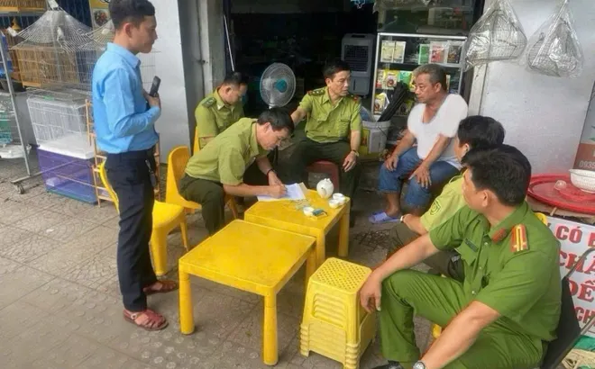 Kiểm lâm nói gì về thông tin mang chim đi cà phê phải chứng minh nguồn gốc?