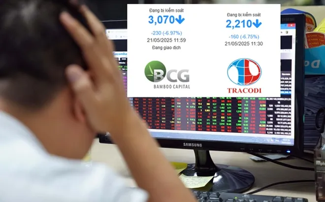 Bộ đôi BCG và TCD vào diện hạn chế giao dịch, cổ phiếu "nằm sàn"
