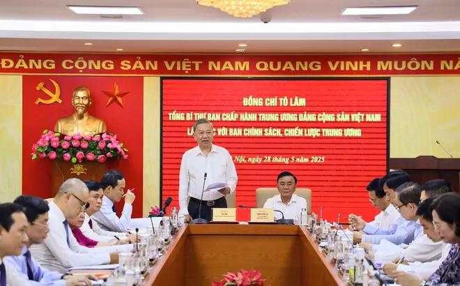 Tổng Bí thư: “Xóa bỏ độc quyền Nhà nước về vàng miếng”