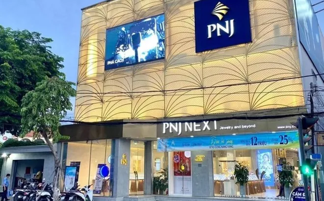 Công ty PNJ có dấu hiệu vi phạm pháp luật hình sự