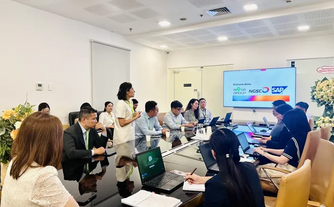 NovaGroup chiêu mộ nhân lực cấp cao trên hành trình phục hồi