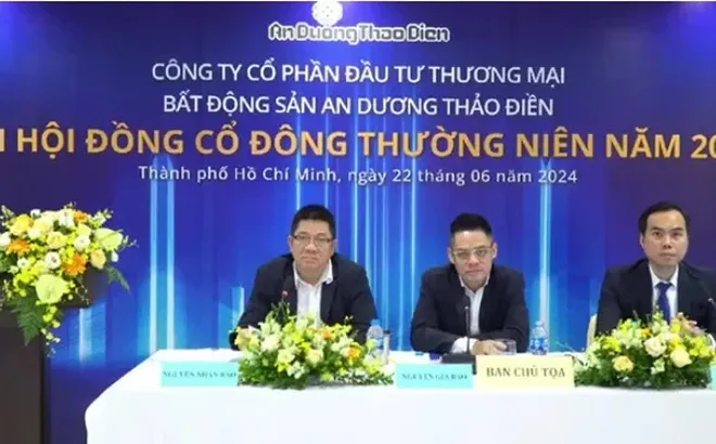 Bất động sản An Dương Thảo Điền bị truy thu hơn 300 triệu đồng vì vi phạm thuế