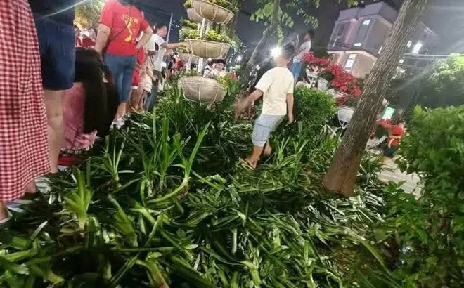 Những hành vi nào có thể bị xử phạt nếu vi phạm khi đi xem diễu binh, diễu hành