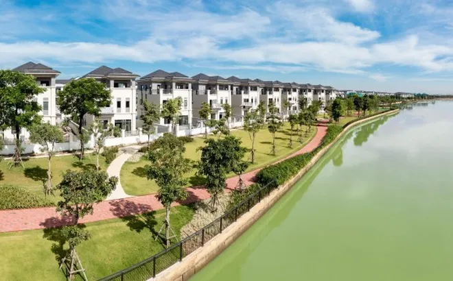 Chủ đầu tư Aqua City lỗ bán niên hơn 70 tỷ, nợ phải trả cao gấp 6 lần vốn
