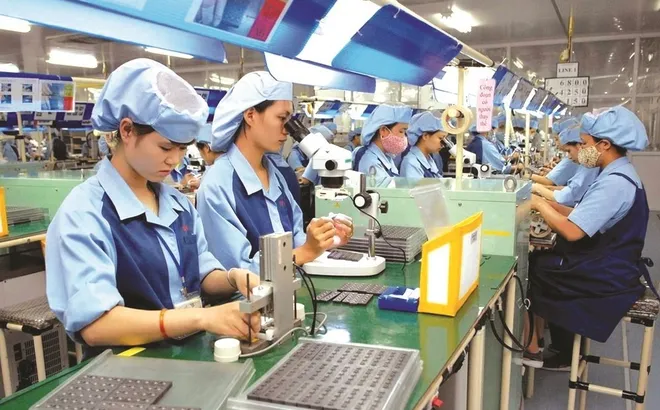 DNNN: Nâng sức cạnh tranh để phát triển bền vững