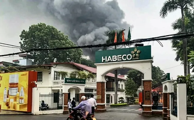 Nhà máy bia trăm tuổi trên 'đất vàng' Hà Nội làm ăn ra sao?