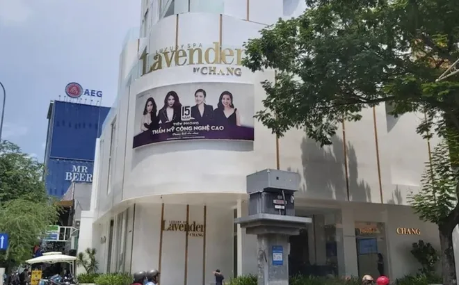 Công ty Lavender Sài Gòn của Lý Thuỳ Chang nợ thuế