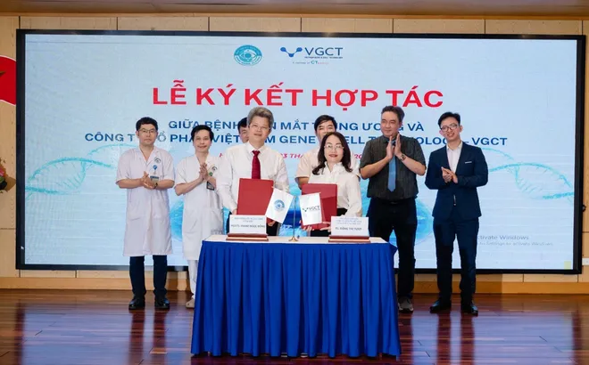 Tin Vui Cho Hàng Trăm Ngàn Người Mù Vĩnh Viễn Ở Việt Nam