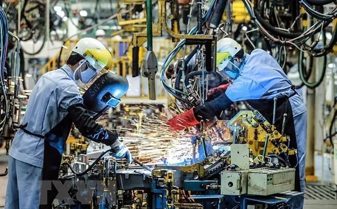 Niềm tin doanh nghiệp châu Âu vào Việt Nam tăng mạnh