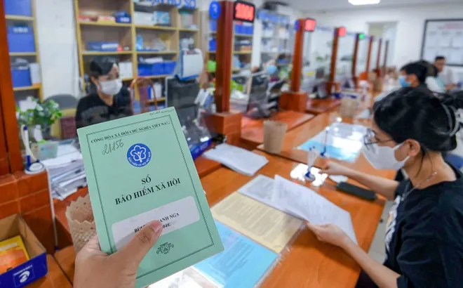 Từ 1/7/2029: Tất cả chủ hộ kinh doanh bắt buộc tham gia bảo hiểm xã hội