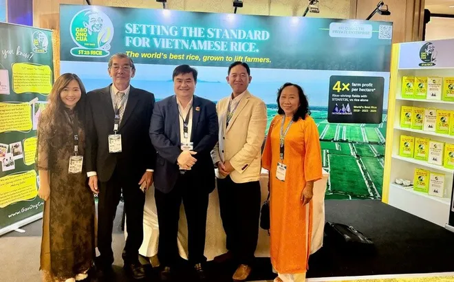 Gạo ST25 của Việt Nam giành giải Nhì "Gạo ngon nhất thế giới 2026"