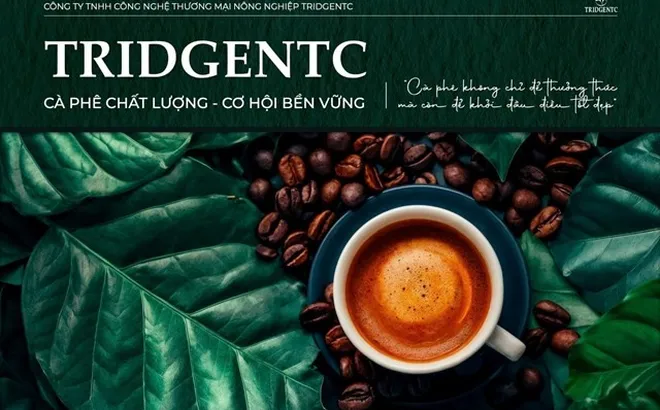 TridgeNTC: Hiện thực hóa giấc mơ "Cà phê công nghệ" và lộ trình IPO năm 2030
